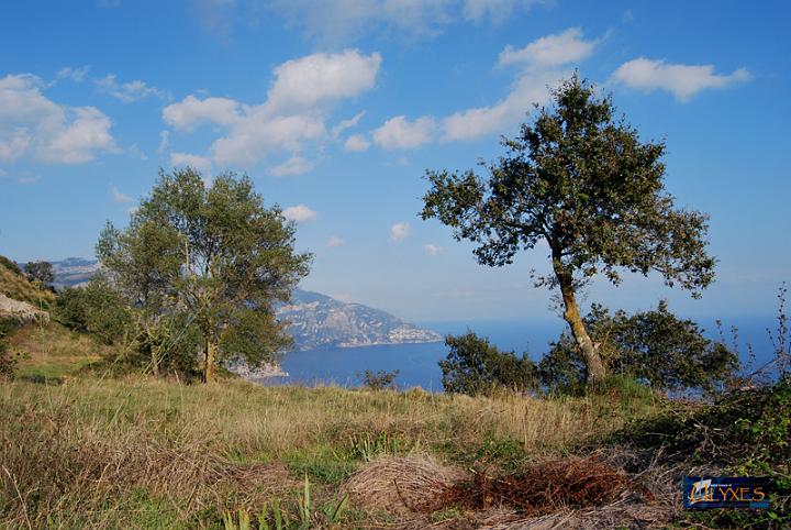 panorama dalla malacoccola.JPG